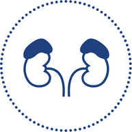 What is adrenal insufficiency?