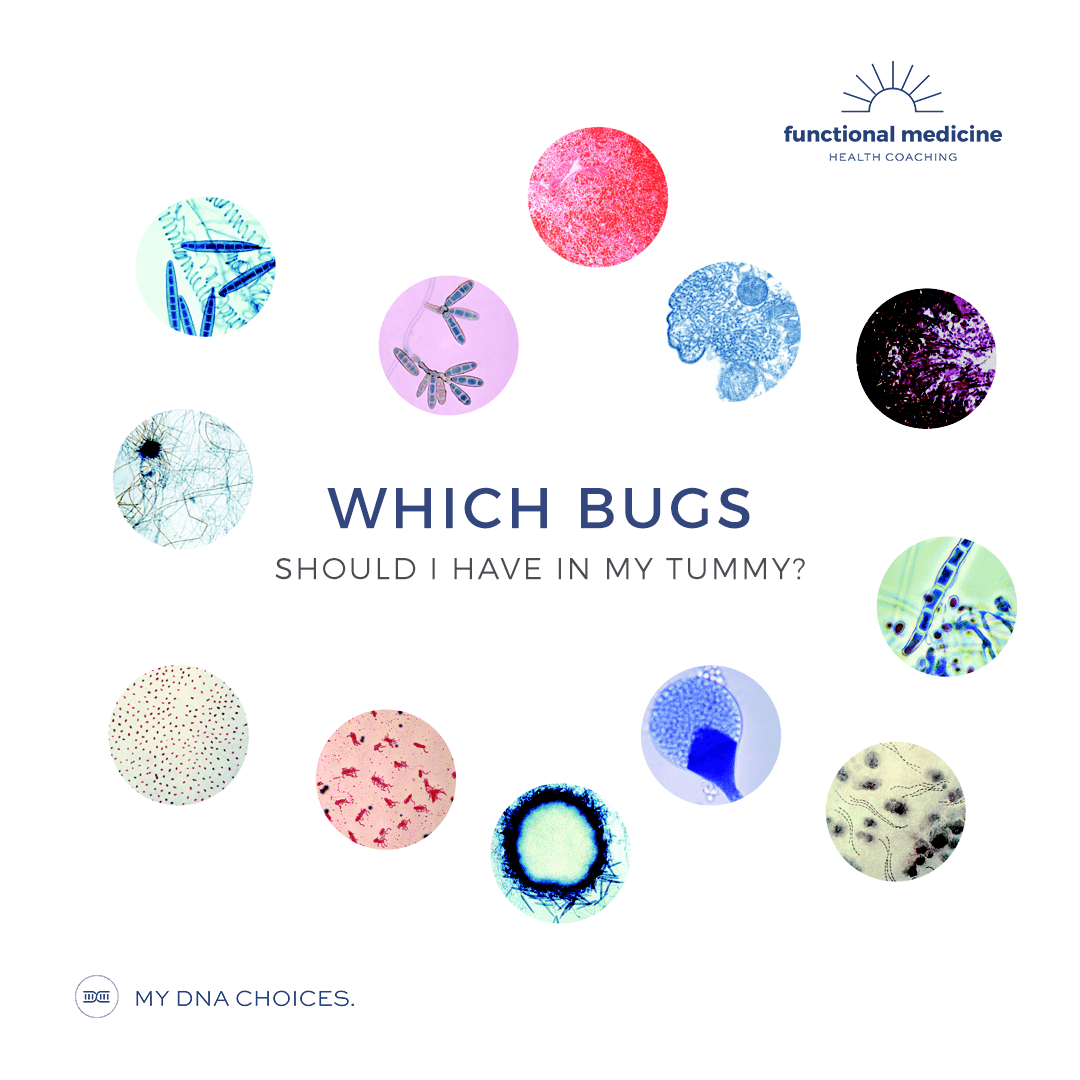 Which bugs should I have in my tummy?