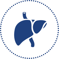 Liver Support Supplements NURTURE BY METAGENICS 