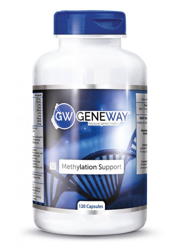 GENEWAY Methylation Support