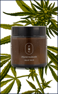 Relief Balm Body PLANTCEUTICALS 100ml 